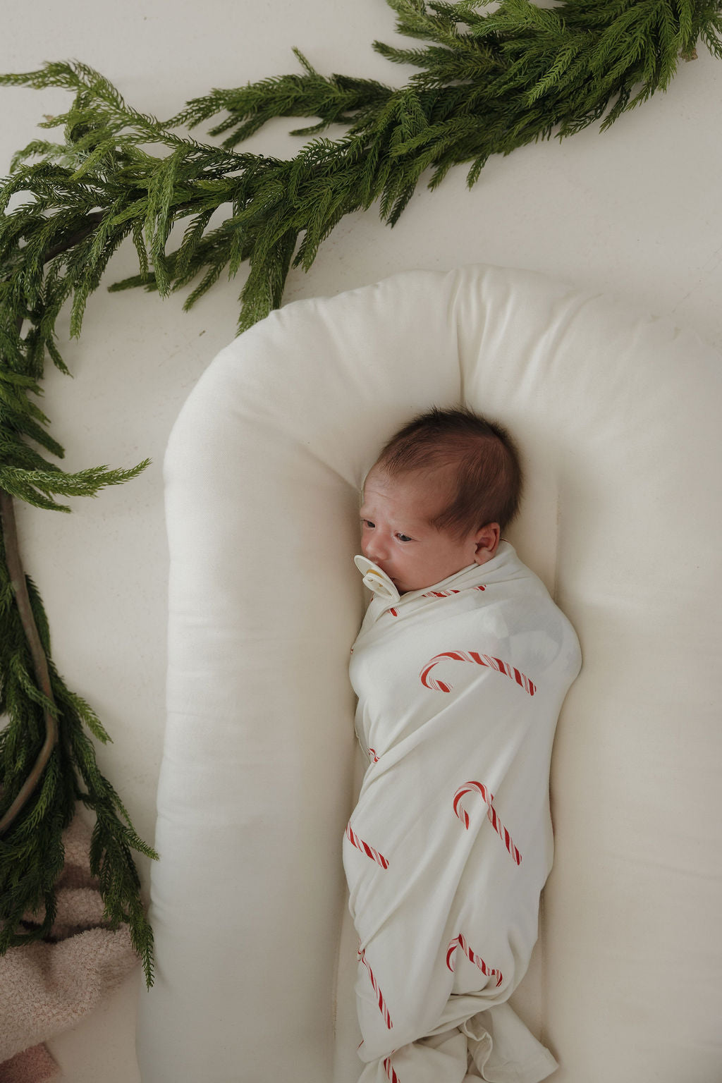 A newborn lies on a cushioned white surface, wrapped in the forever french baby Bamboo Swaddle | Candy Cane (Preview) with red candy cane patterns, surrounded by green fir branches.