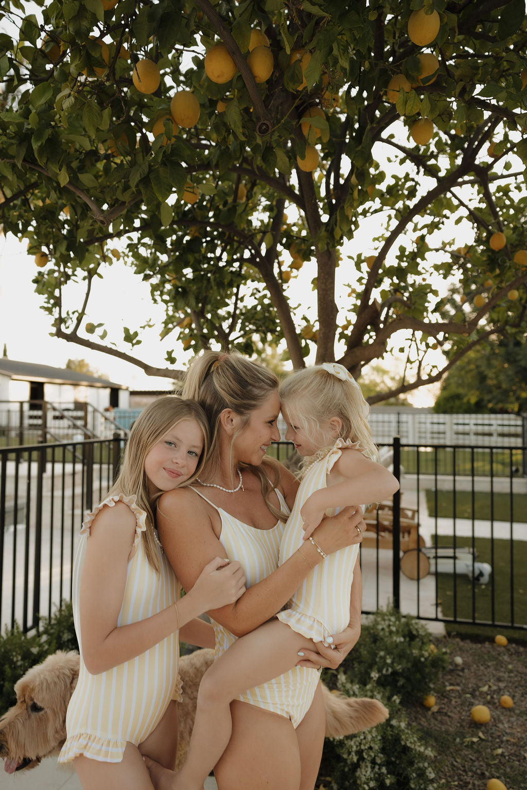 A woman and two young girls in lolo webb 2 Women's One Piece Swimsuit | Sun Rays, featuring yellow and white stripes, smile and embrace under a lemon tree with their golden retriever by a fenced pool.