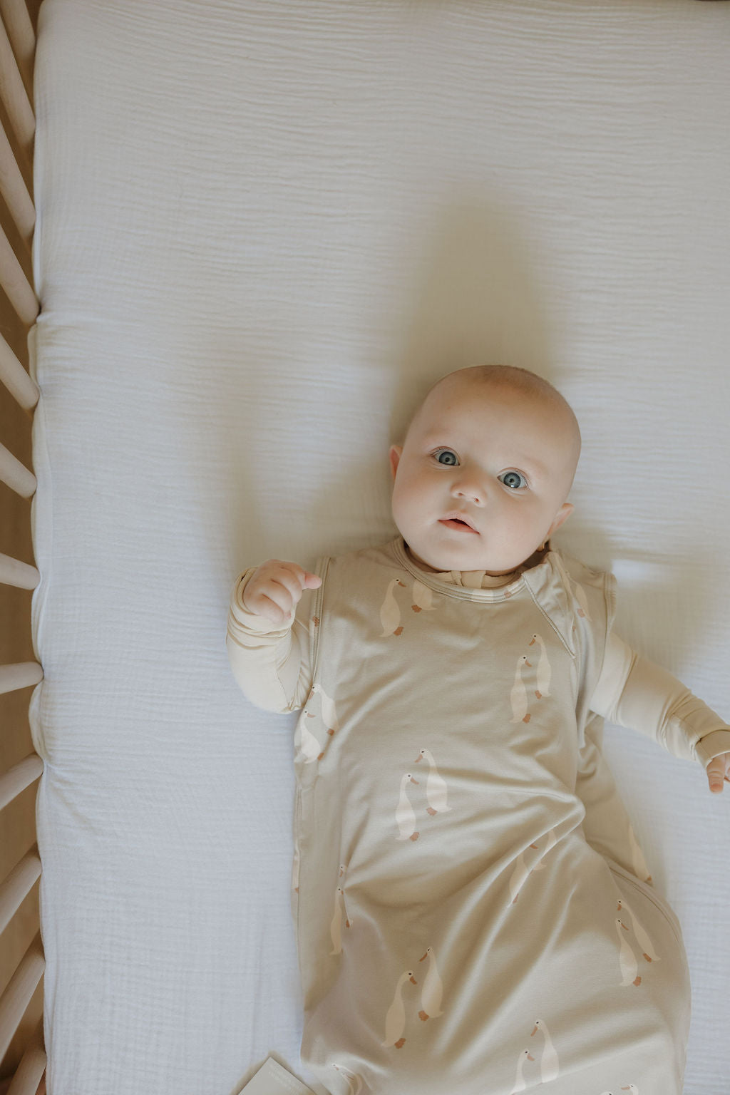 A baby with wide blue eyes lies in a crib on a white sheet, wearing the forever french baby Bamboo Sleep Sack | Silly Goose with a penguin pattern and cream-colored sleeves.