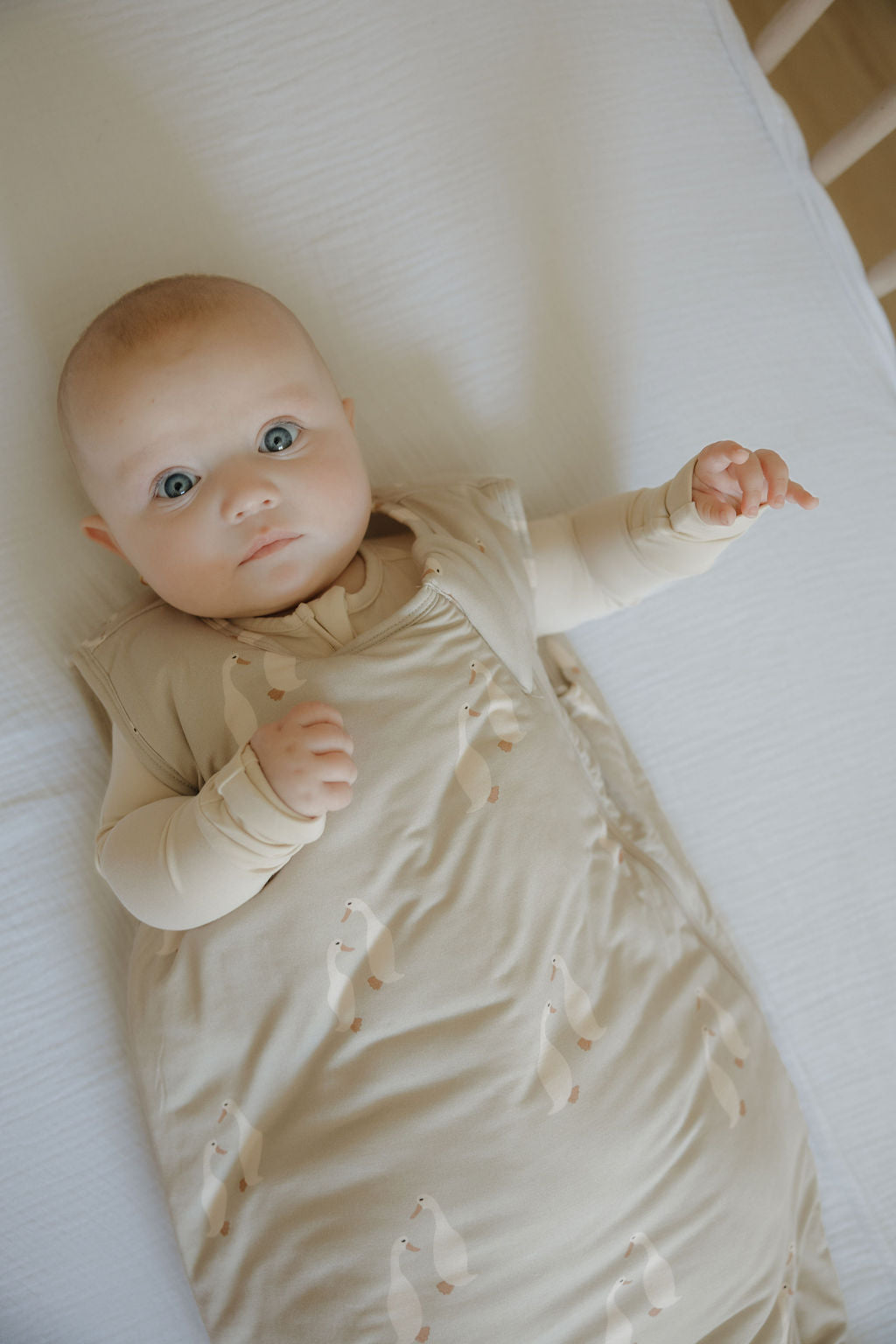 A baby with wide blue eyes lies on a white sheet, cozy in the forever french baby Bamboo Sleep Sack | Silly Goose, featuring small white animal prints. Their left arm is slightly raised as they gaze directly at the camera.