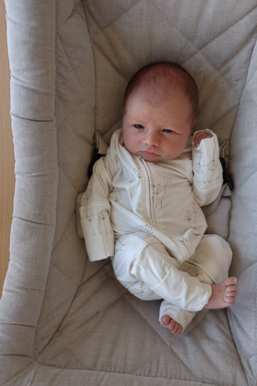 A newborn in forever french baby Bamboo Zip Pajamas | Dandelion lies in a soft, beige bassinet, gazing up with a furrowed brow and one arm raised. Their legs are crossed and tiny toes peek from the cozy, cream-colored pajama.