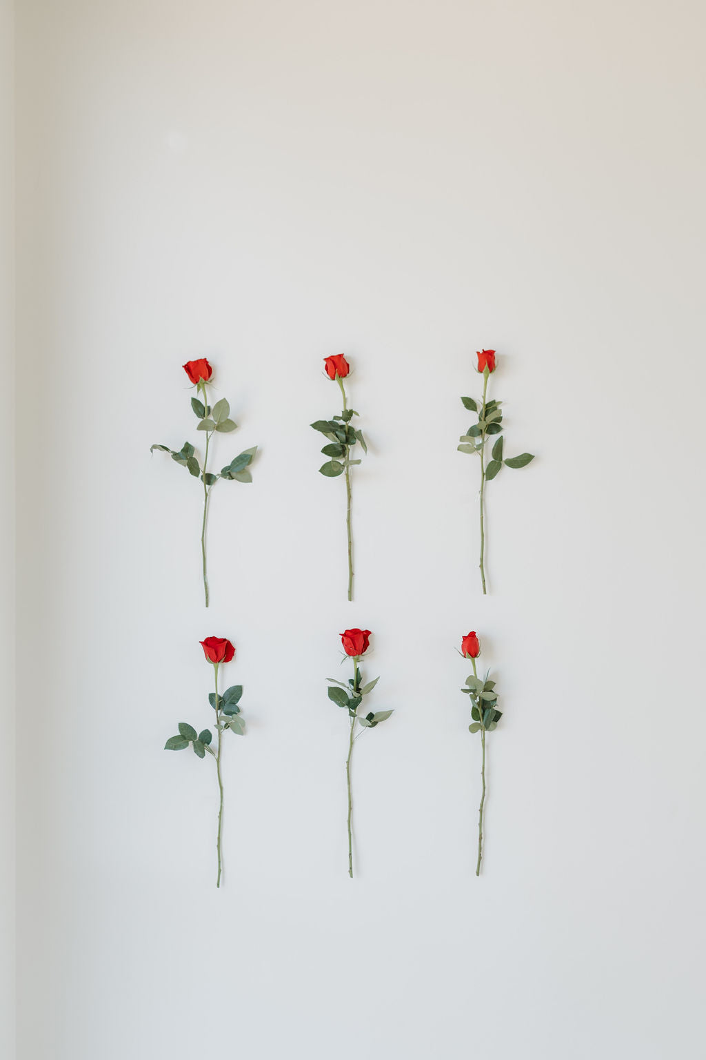 Six red roses with green stems and leaves are arranged vertically in two columns on a plain, light-colored wall.