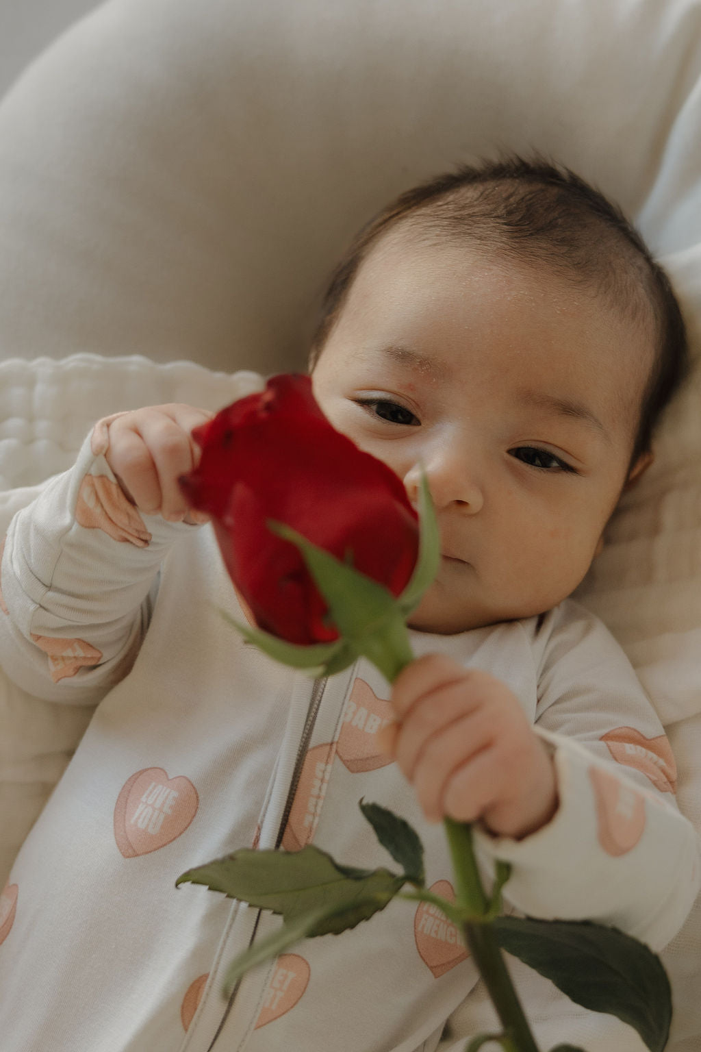 A baby in forever french baby Bamboo Zip Pajamas | Love Notes - Grey holds a red rose while lying on a soft white cushion, quietly gazing at the flower.