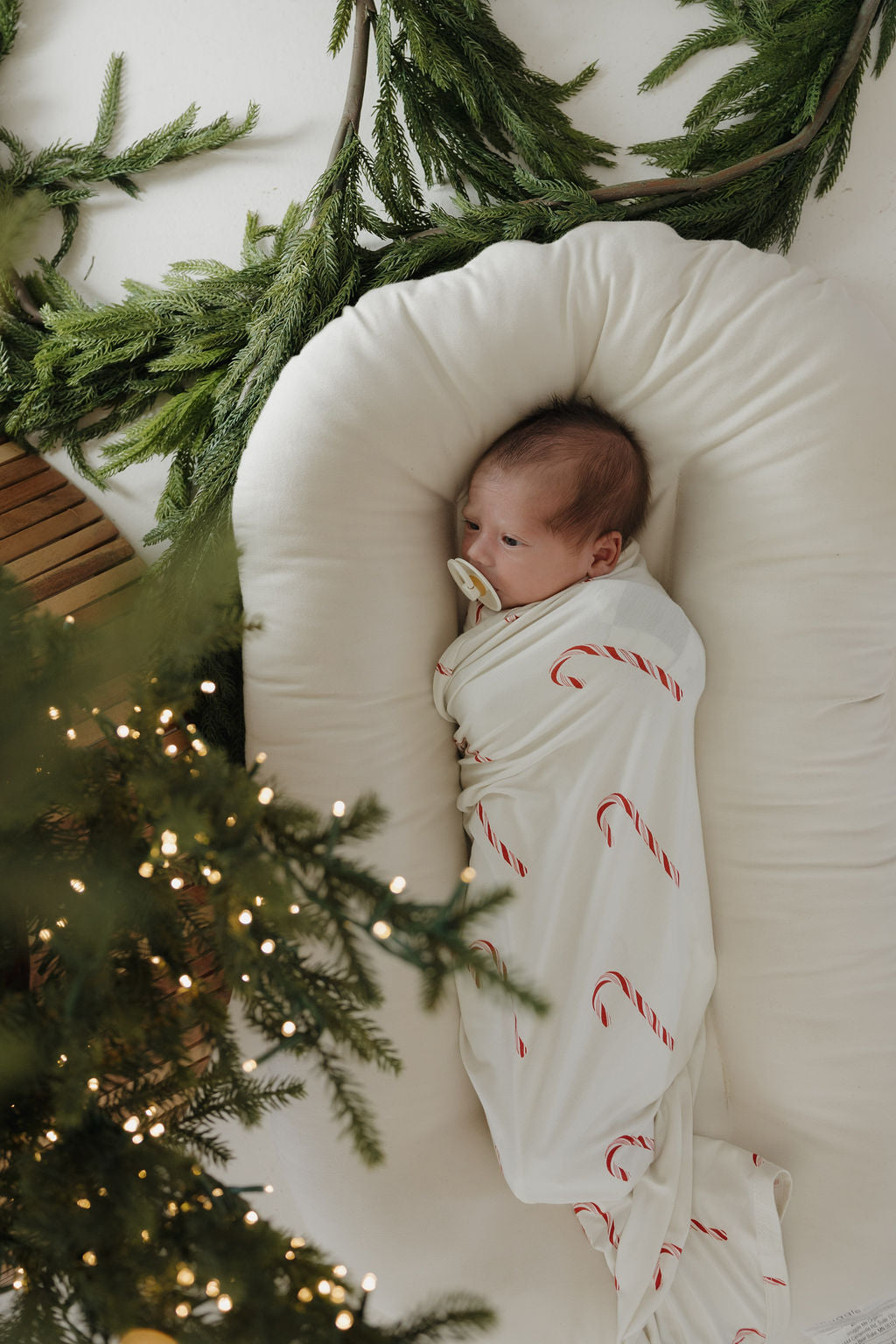 A newborn is wrapped in the forever french baby Bamboo Swaddle | Candy Cane, featuring red candy canes, resting in a cushioned nest with pine branches and Christmas tree lights around.