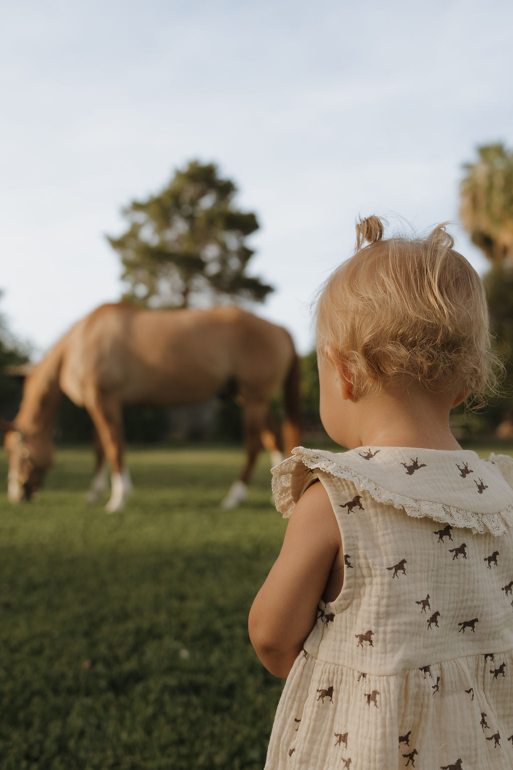 A young child in the forever french baby Muslin Romper | Wild Horses stands on grass, watching a brown horse graze as trees create a lush, peaceful backdrop.