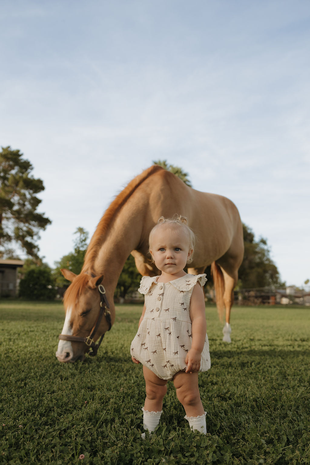 A young toddler wears the forever french baby Muslin Romper | Wild Horses, standing on grass with a light brown horse grazing in the background under a blue sky.