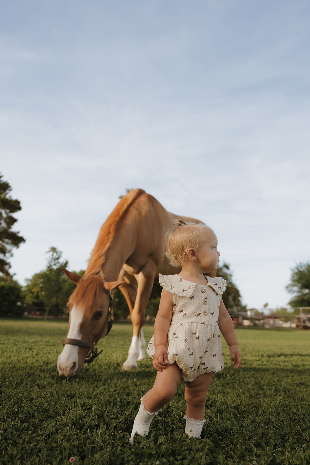 A young child wearing the forever french baby Muslin Romper | Wild Horses stands on grass, gazing to the side as a light brown horse grazes nearby under a blue sky with trees in the background.