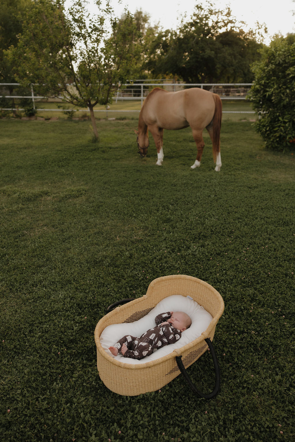 A baby sleeps in a wicker bassinet on the grass, bundled in forever french baby Bamboo Zip Pajamas | With Love from AZ. In the background, a tan horse grazes in a lush, tree-filled yard.