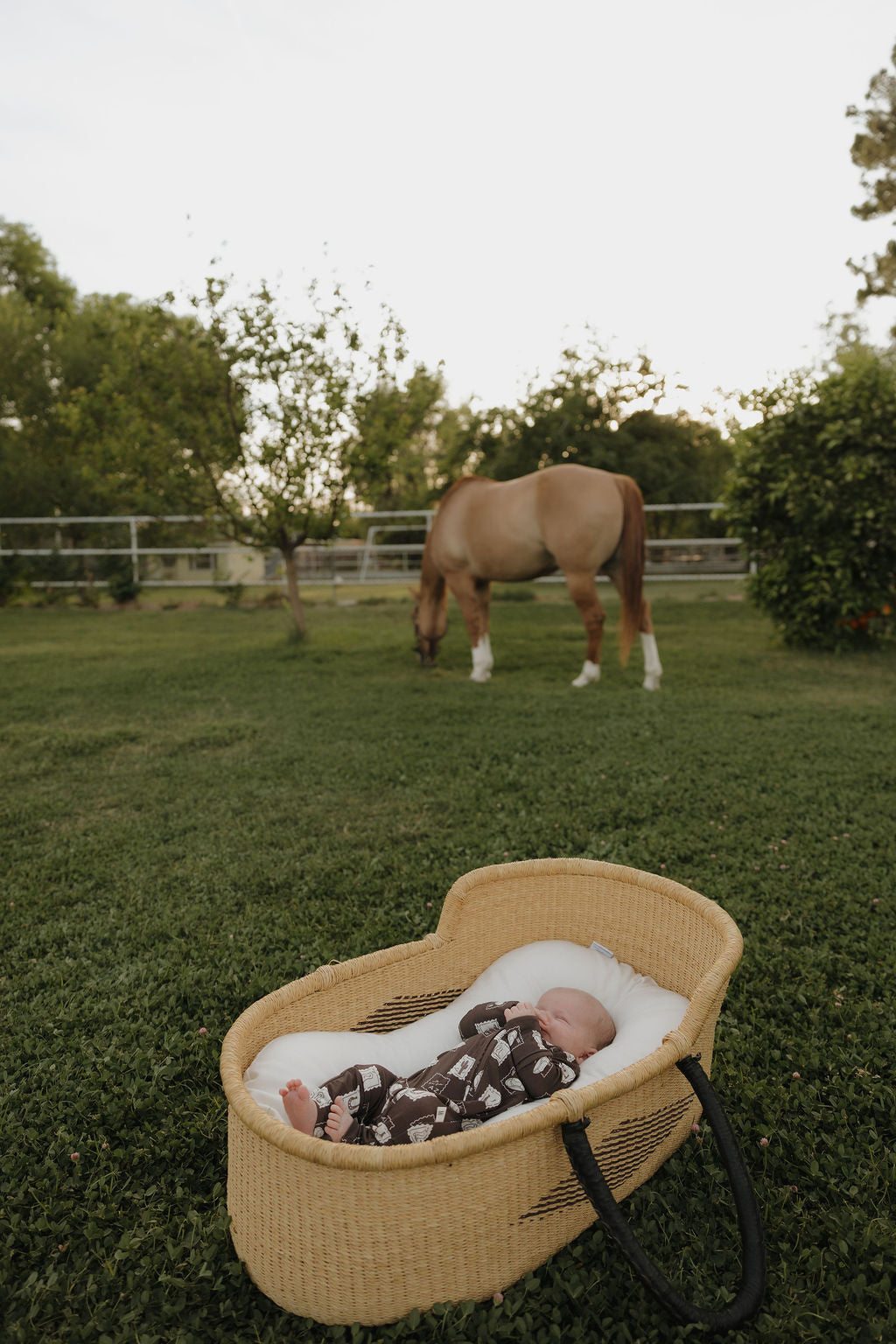 A baby in forever french baby’s Bamboo Zip Pajamas | With Love from AZ naps in a woven basket on green grass, while a brown horse grazes in a nearby fenced yard surrounded by trees and bushes.