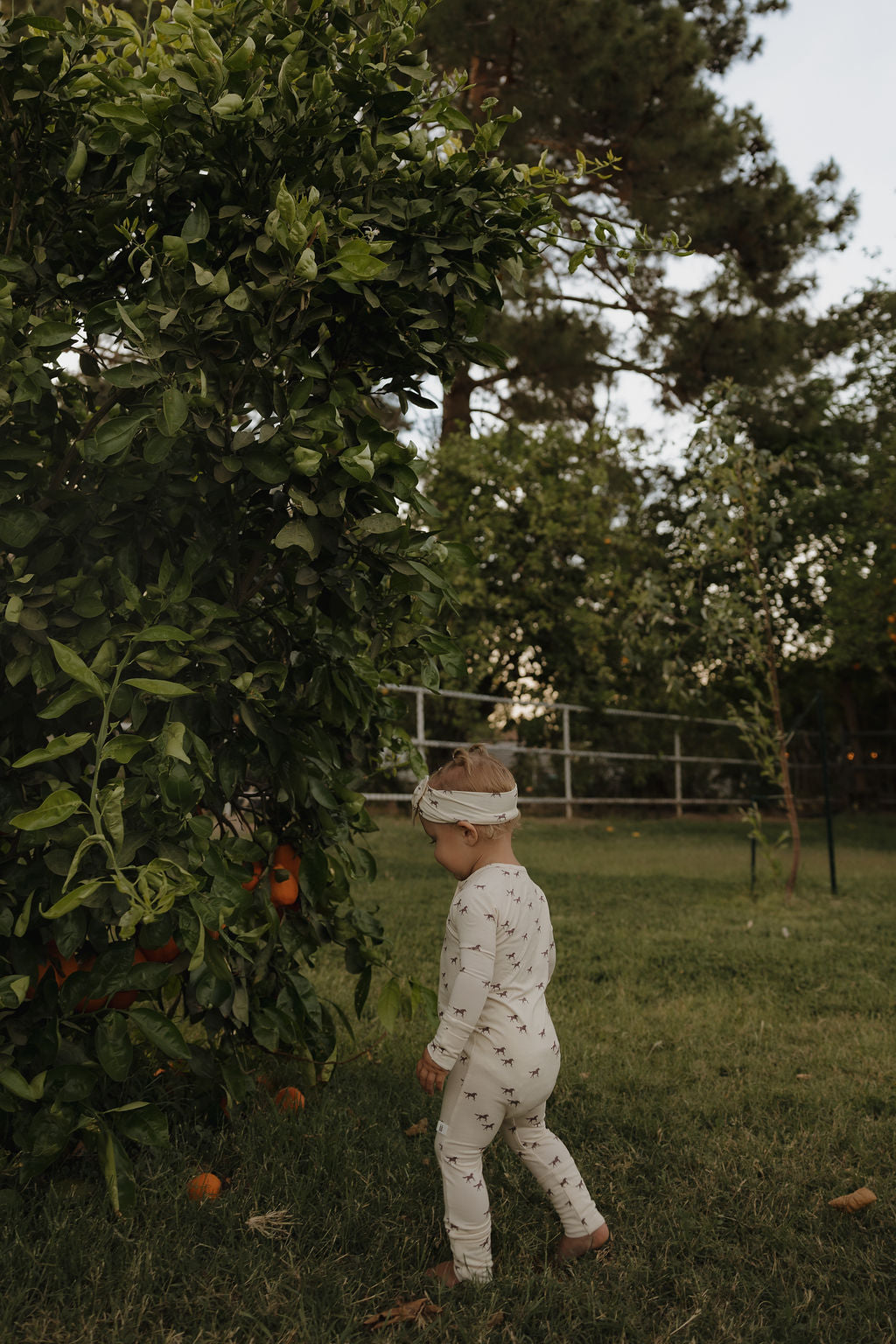 A young child in forever french baby Bamboo Zip Pajamas | Wild Horses and a headband walks on grass near an orange tree with ripe fruit, surrounded by greenery in an outdoor setting.