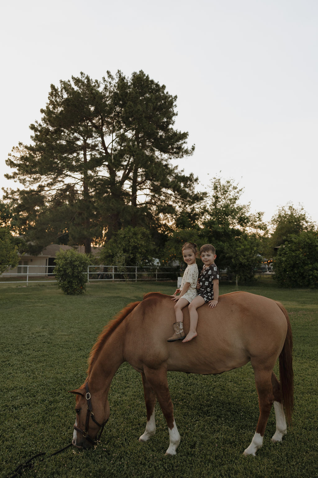 Two young children wearing the Bamboo Short Set by forever french baby sit on a brown horse grazing in a field, with trees and a fence visible in the background at sunset.
