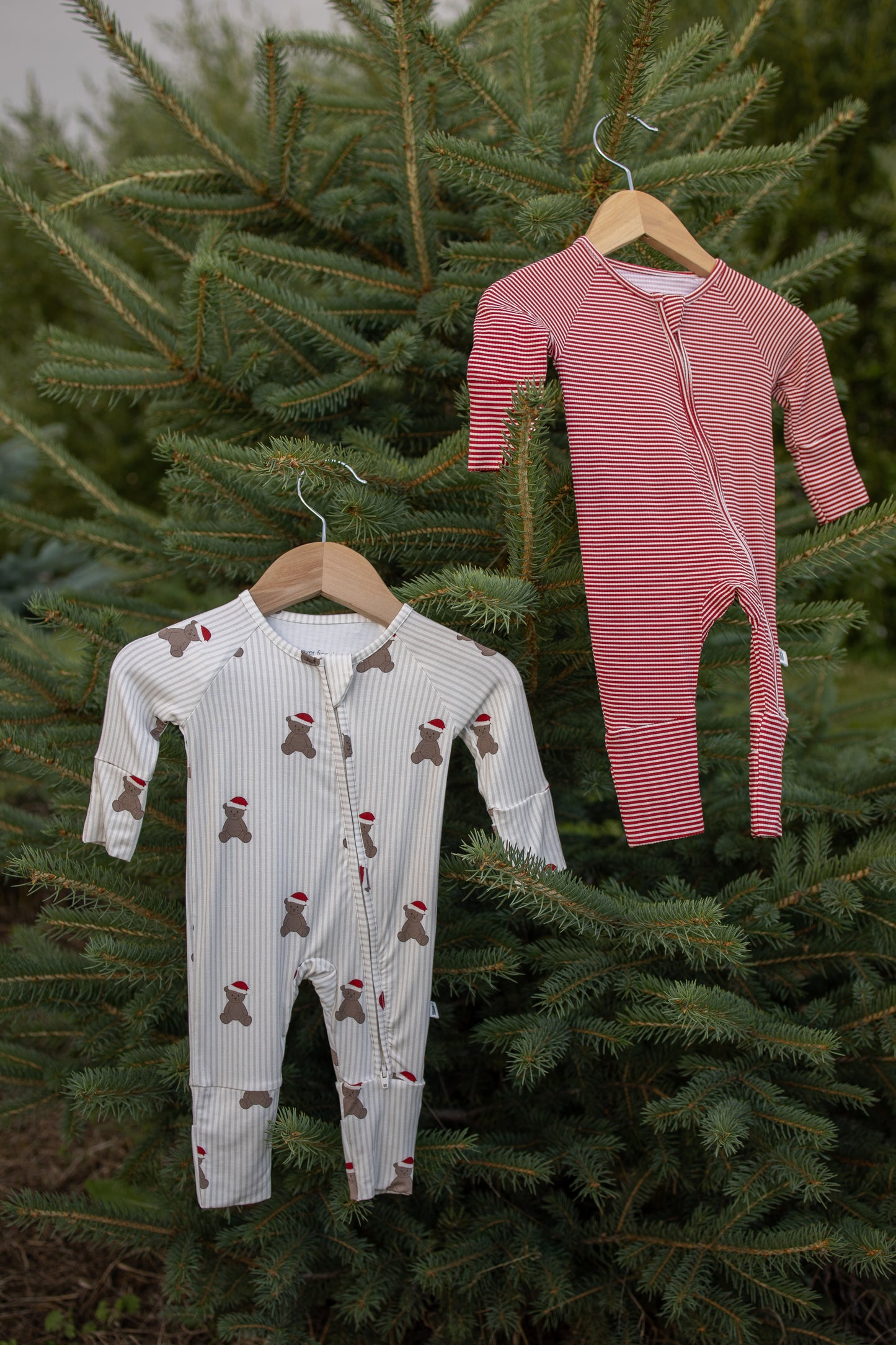 Two baby onesies by forever french baby are displayed on hangers from the branches of a pine tree, set against an outdoor backdrop of greenery. One is white with gingerbread prints, and the other is the Bamboo Zip Pajamas | Peppermint Stripe Ribbed—a red and white striped design crafted from hypo-allergenic, ribbed bamboo material ideal for sensitive skin.