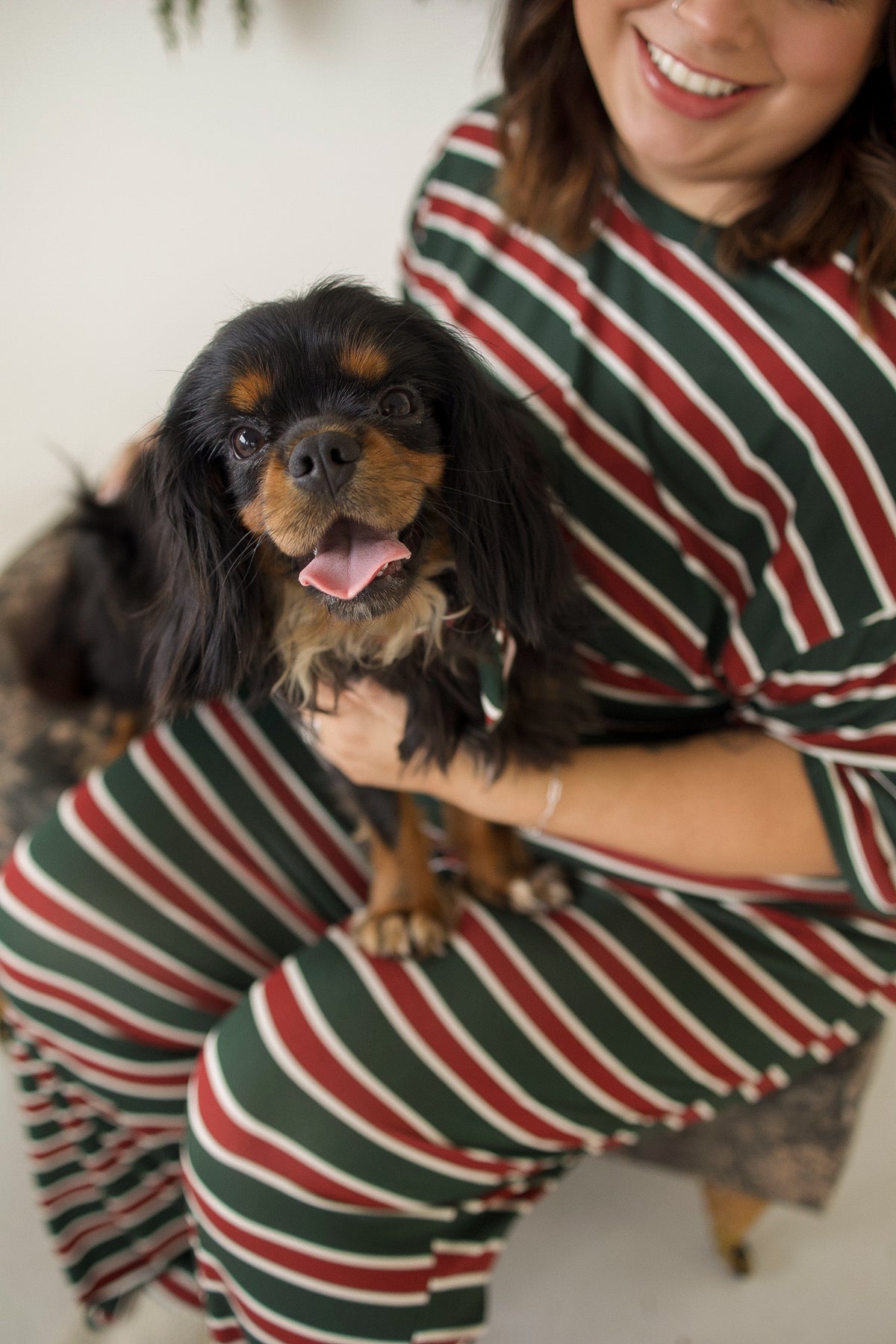 A black and tan Cavalier King Charles Spaniel wearing a Bamboo Bandana | Holiday Stripe, held by a person in a matching bamboo viscose striped shirt and pants.