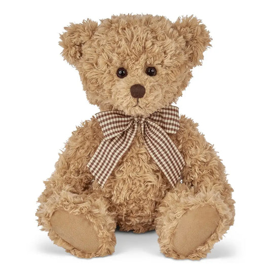 Theodore The Teddy Bear | 🧸 Plush Toy