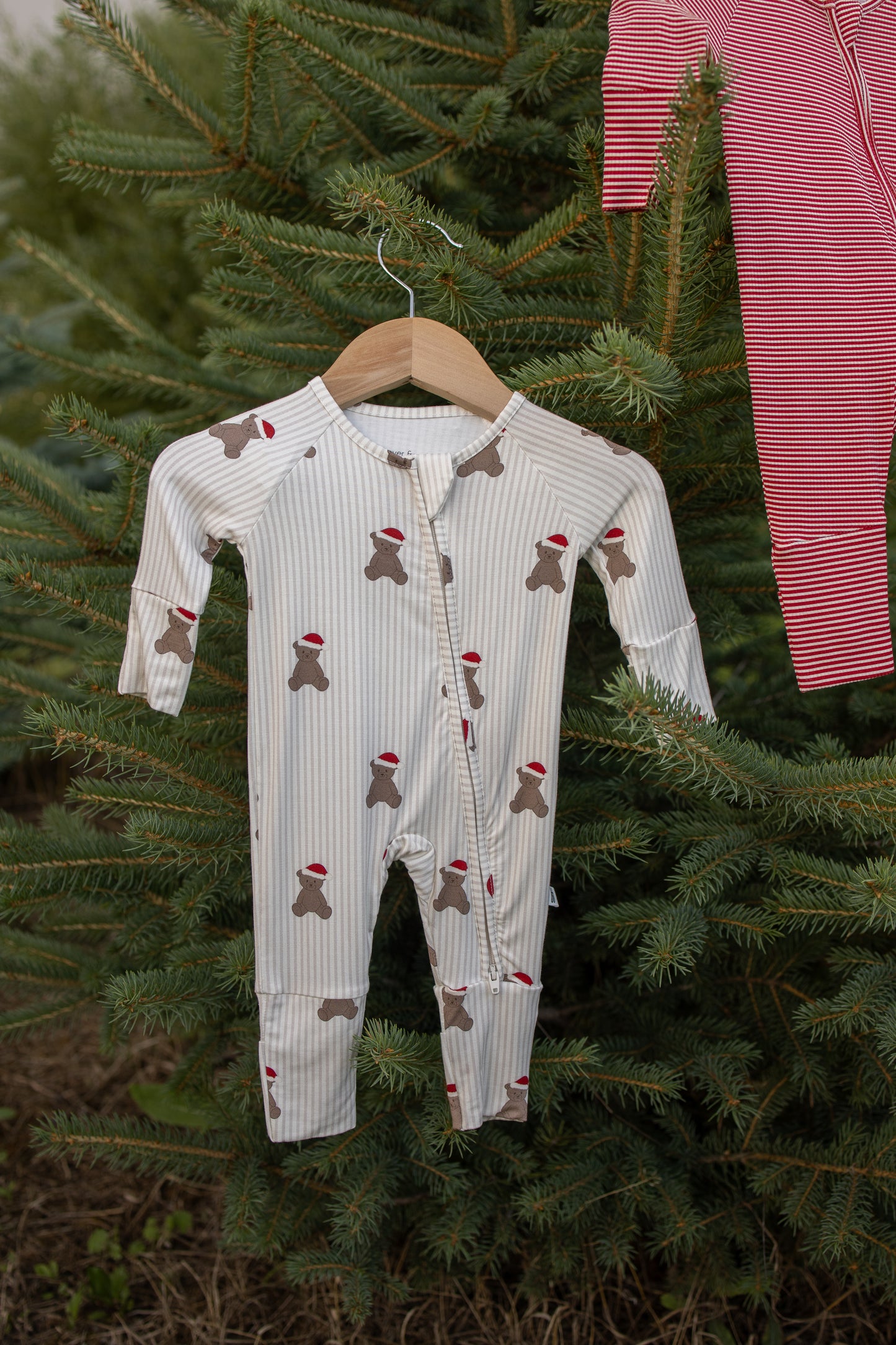 A cozy baby onesie printed with gingerbread men wearing red hats hangs on a wooden hanger from a pine tree, highlighting our forever french baby collection of hypoallergenic apparel. Behind it, the Bamboo Zip Pajamas | Santa Teddy, featuring festive red and white stripes and crafted from soft bamboo fabric, peek out—perfect for snuggly winter nights. Lush green pine branches complete the background.