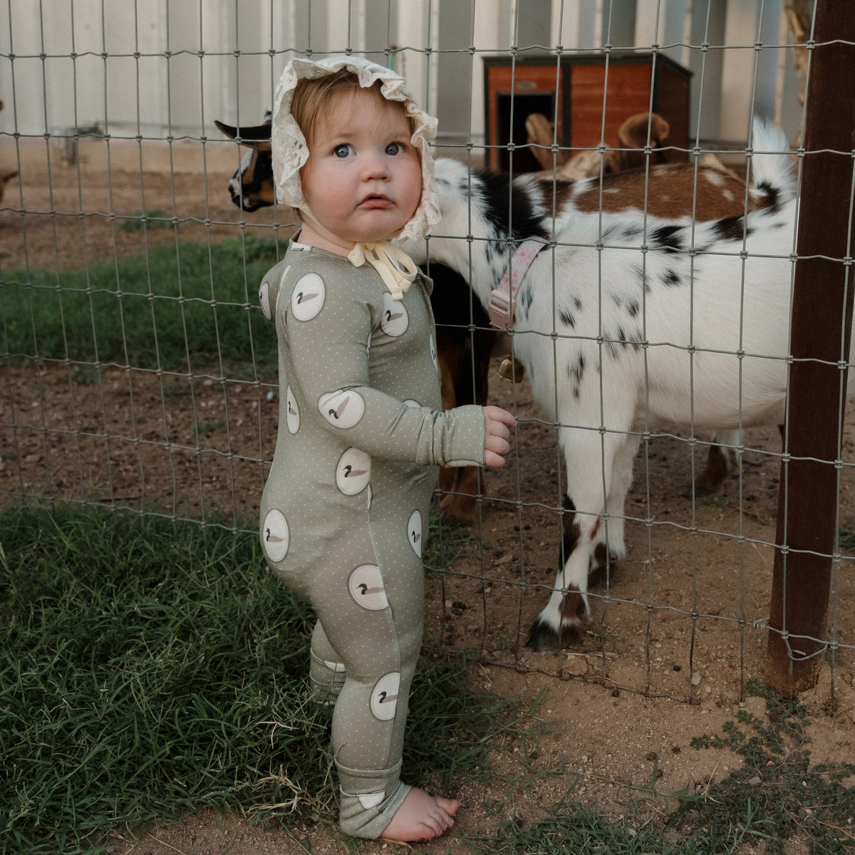 A toddler in forever french baby’s Bamboo Zip Pajamas | Mallard Frames—a light green hypoallergenic onesie—stands near a wire fence, looking up as goats graze on the other side. Dirt and grass cover the ground, creating a peaceful outdoor scene perfect for little ones dressed in comfortable baby sleepwear.